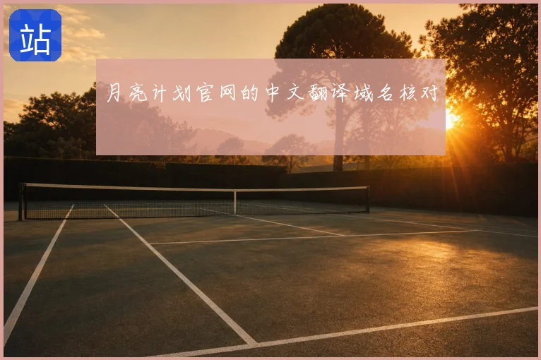 月亮计划官网的中文翻译域名核对
